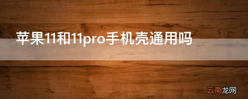 iphone11和iphone11 pro手机壳通用吗 iPhone11和11pro手机壳通用吗