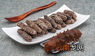 海参要煮多久可以吃 鲜活海参要煮多久可以吃