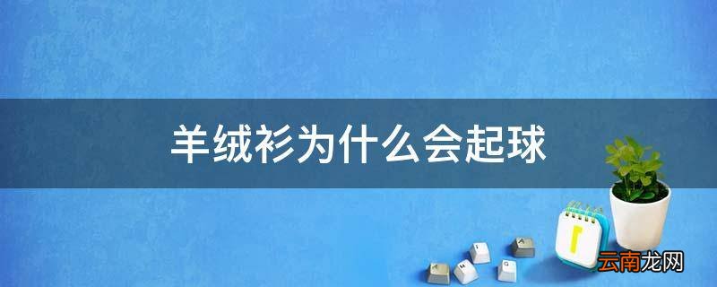 羊绒衫为什么会起球