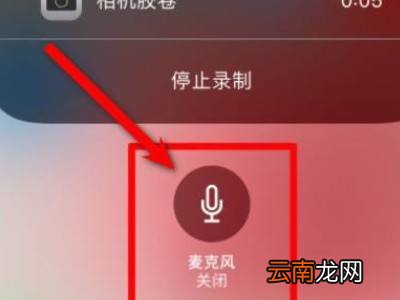 苹果微信视频录屏为什么没声音