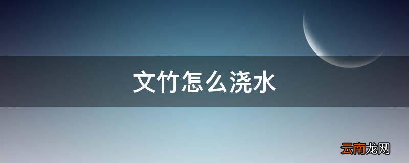 文竹怎么浇水