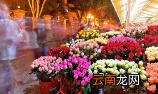 梦见鲜花是什么意思 梦见鲜花预示着什么