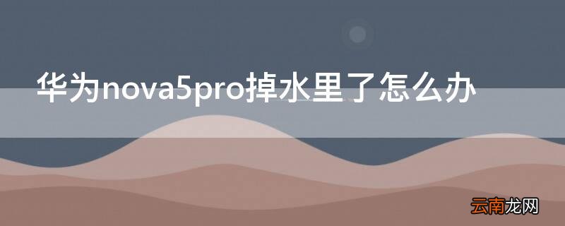 nova5pro掉水里了没事 华为nova5pro掉水里了怎么办