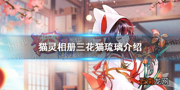 猫灵相册琉璃怎么样 猫灵相册琉璃原型介绍