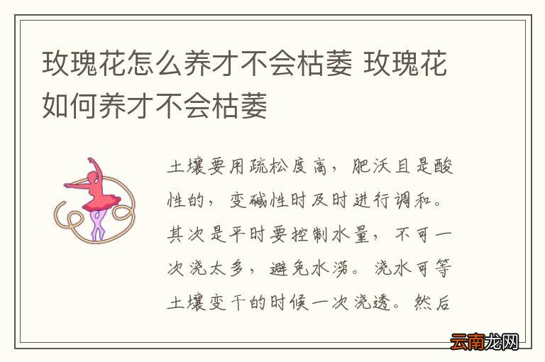 玫瑰花怎么养才不会枯萎 玫瑰花如何养才不会枯萎