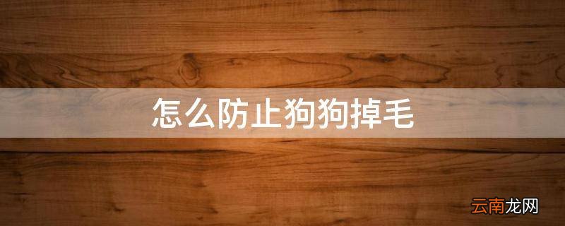 怎么防止狗狗掉毛