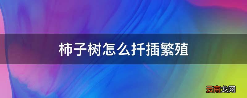 柿子树怎么扦插繁殖