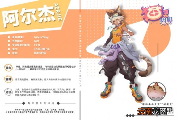 猫灵相册阿尔杰怎么样 猫灵相册阿尔杰原型介绍