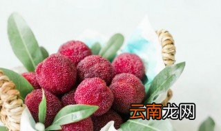 杨梅怎么收保鲜,杨梅的保鲜方法窍门