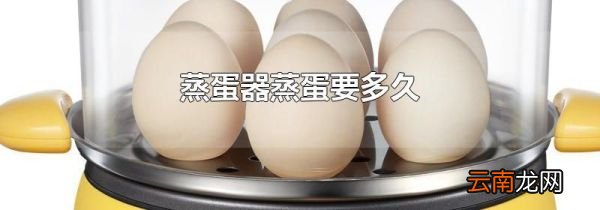 蒸蛋器蒸蛋要多久