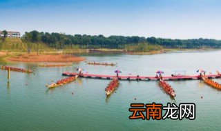 端午节为什么吃鸭子，中秋节为什么吃鸭子