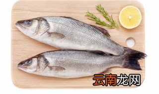 清蒸鲈鱼隔夜还能吃吗 清蒸鲈鱼隔夜还不能吃