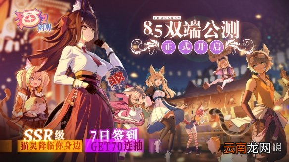 猫灵相册公测福利有什么 猫灵相册公测福利汇总