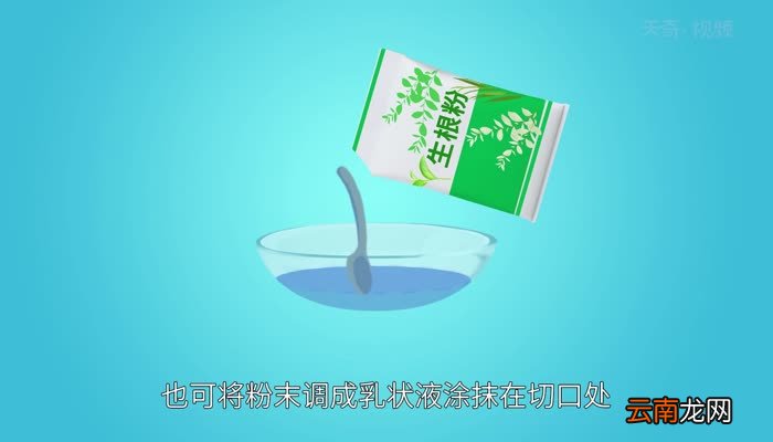 生根粉怎么用 生根粉怎么用效果好