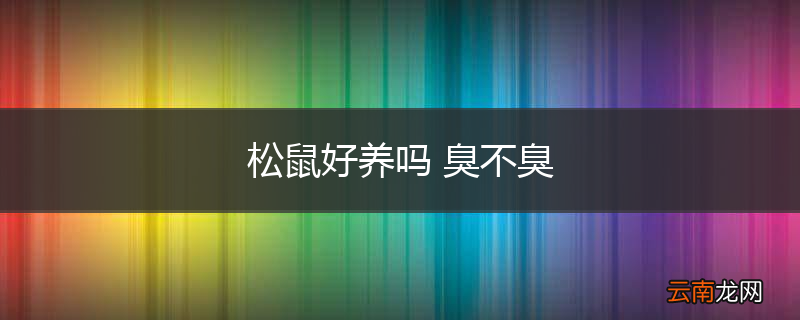 松鼠好养吗 臭不臭