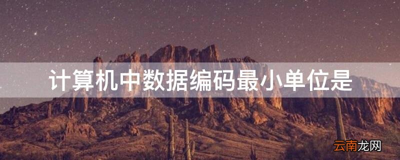计算机中数据编码最小单位是 信息编码的最小单位是