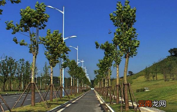 长宁路是哪个区