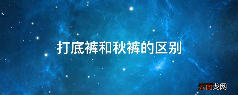 打底裤和秋裤的区别