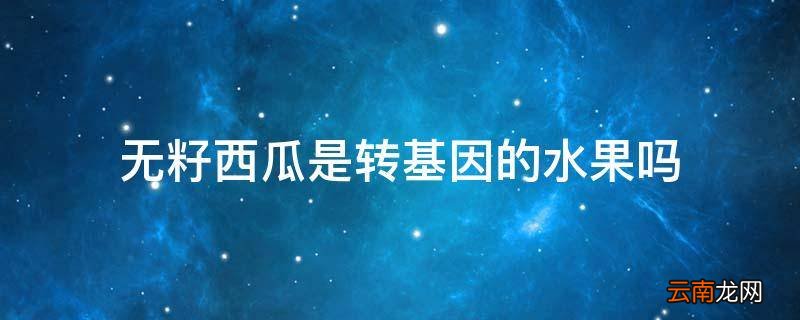 无籽西瓜是转基因的水果吗