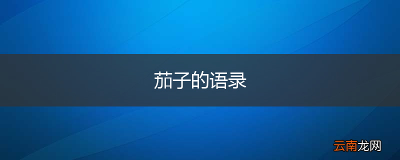 茄子的语录