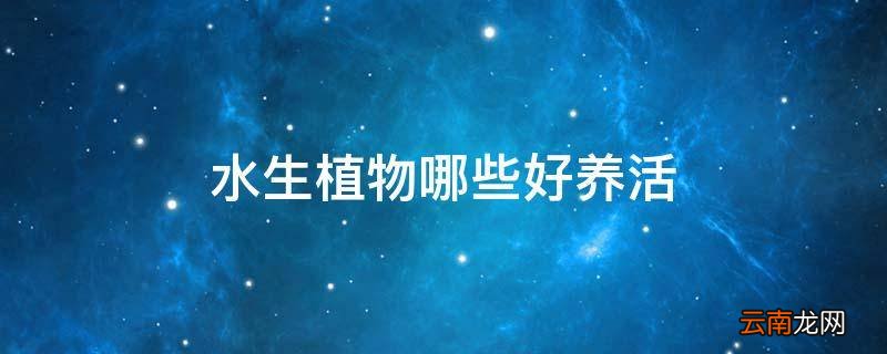 水生植物哪些好养活