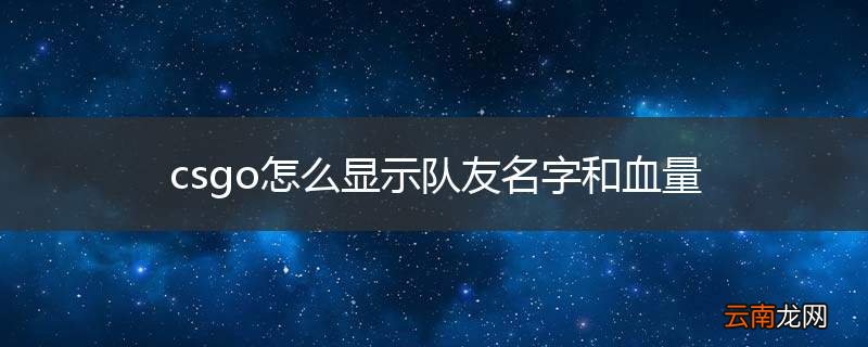 csgo怎么显示队友名字和血量