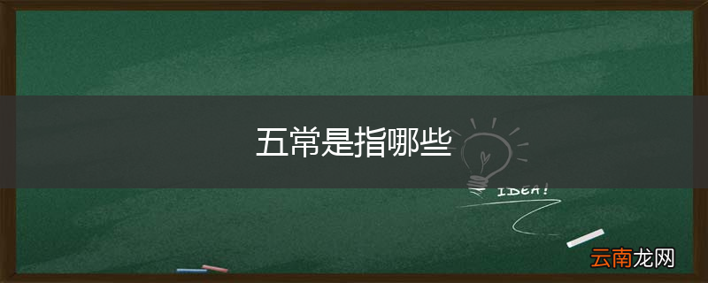 五常是指哪些