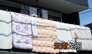 棉子可以用洗衣机洗吗 棉花可以洗衣机洗吗