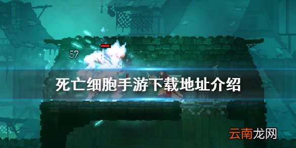 死亡细胞手游怎么下载 死亡细胞手游下载地址介绍