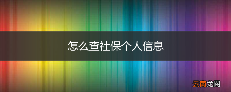 怎么查社保个人信息