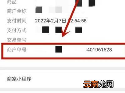 商户订单号怎么查询