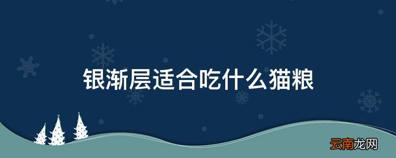银渐层适合吃什么猫粮