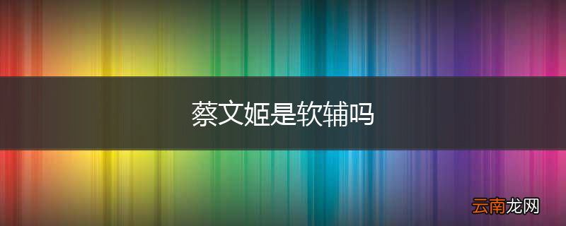 蔡文姬是软辅吗