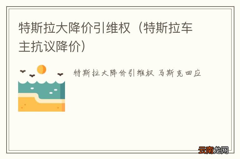 特斯拉车主抗议降价 特斯拉大降价引维权