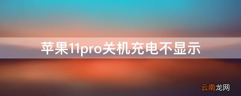 iphone12pro关机充电不显示 iPhone11pro关机充电不显示