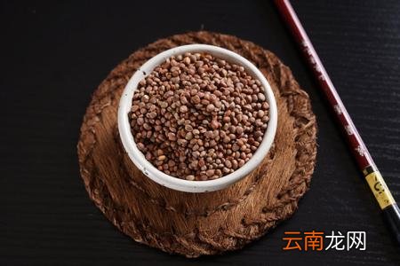 吃莱菔子帮助养胃 推荐莱菔子常见吃法