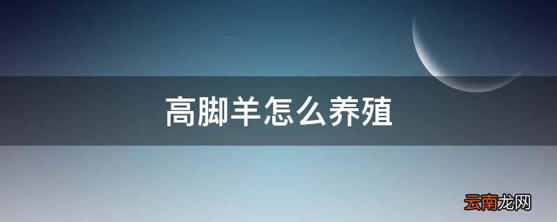 高脚羊怎么养殖