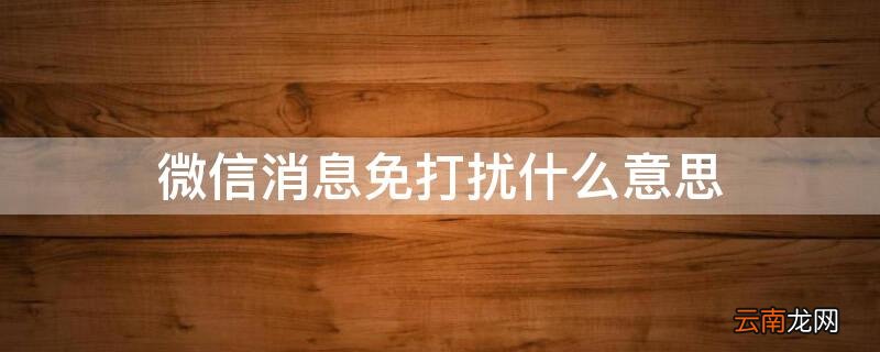 微信消息免打扰啥意思 微信消息免打扰什么意思