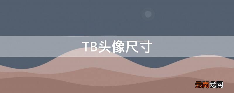 tbag头像 TB头像尺寸