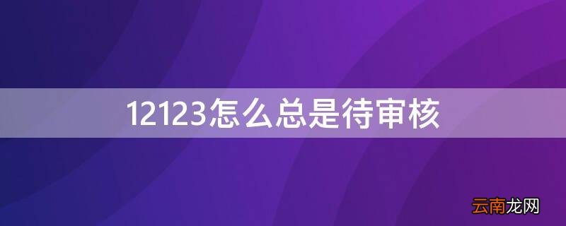 12123怎么总是待审核 12123显示待审核