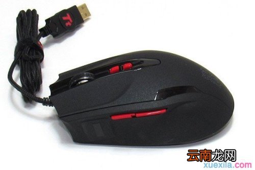 奇葩鼠标都有哪些 奇葩鼠标都有哪些品牌