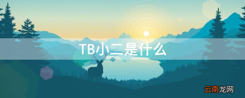 TB小二是什么