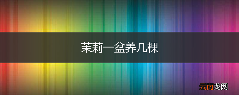 茉莉一盆养几棵