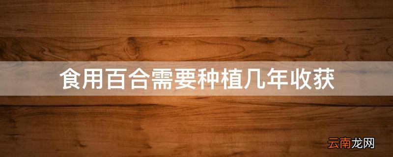 食用百合需要种植几年收获