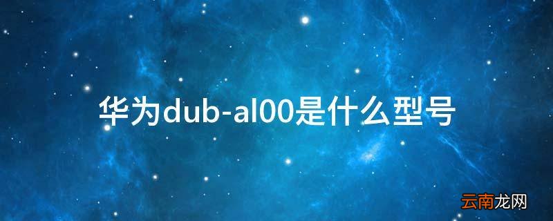 华为dub-al00是什么型号