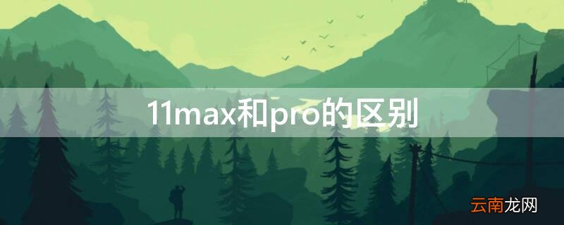 苹果11max和pro的区别 11max和pro的区别