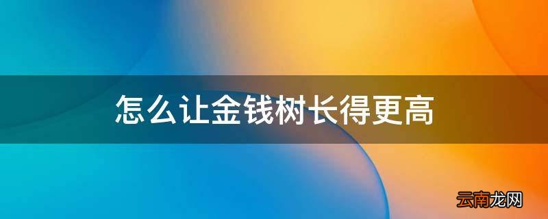 怎么让金钱树长得更高