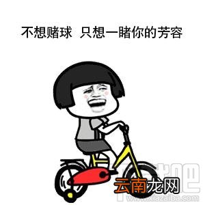 抖音世界杯足球表情包一览