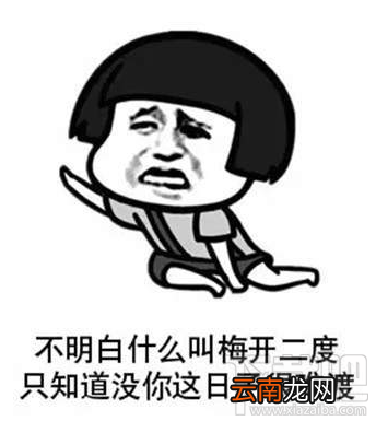 抖音世界杯足球表情包一览