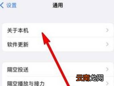 苹果13怎么看屏幕型号